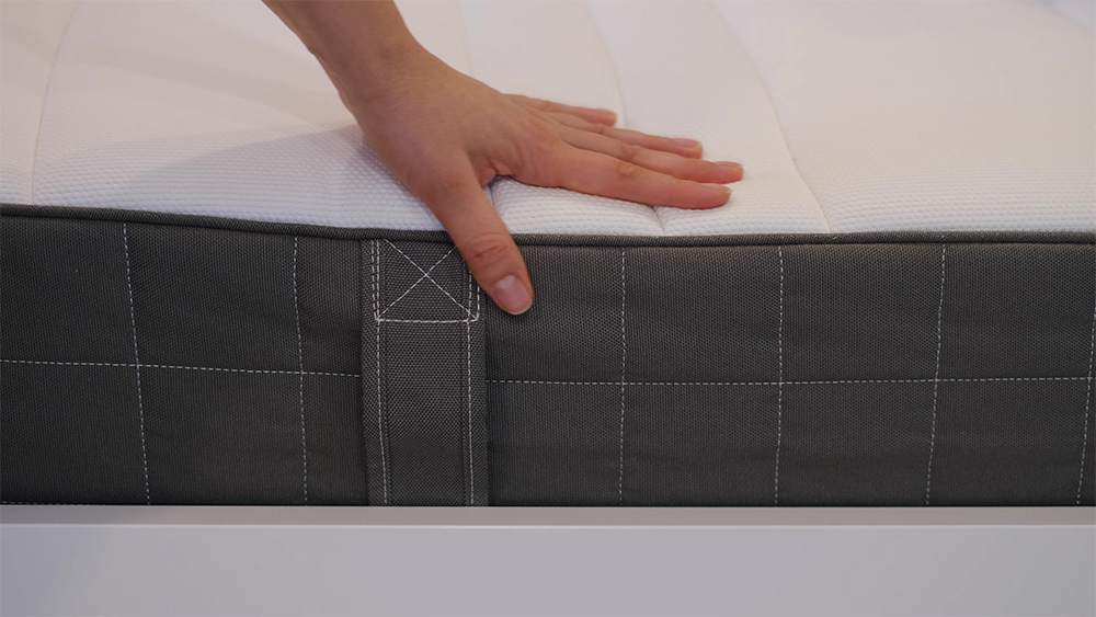 Pet-Friendly and Eco-Friendly Approach