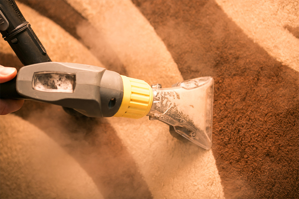 Professional carpet cleaning service