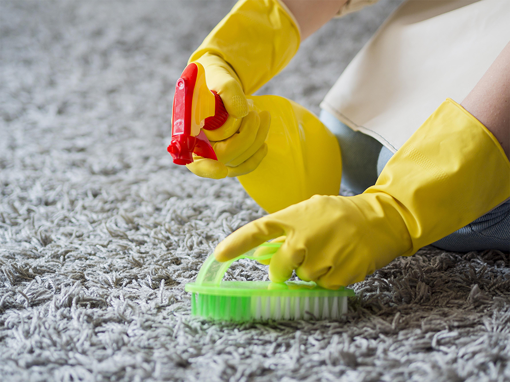 Person cleaning a wool rug at home using a soft brush and spray solution for stain removal