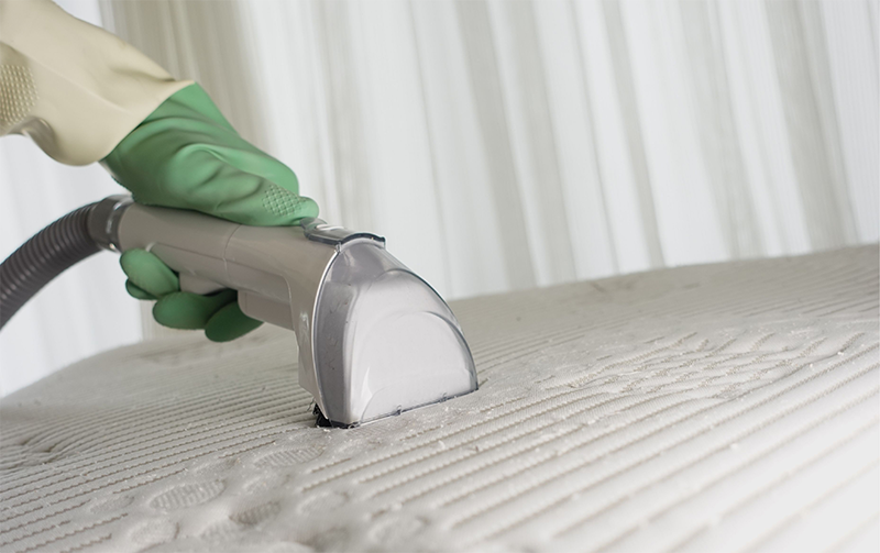 How Much Does Steam Cleaning Cost in London?