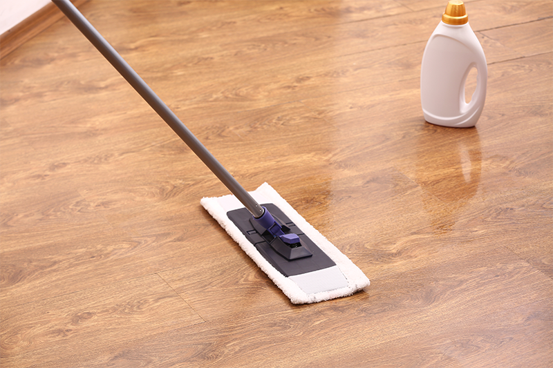 professional cleaner in london area