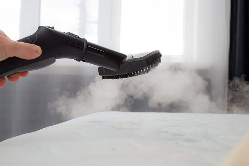 professional cleaner clean with steam a mattress in london area
