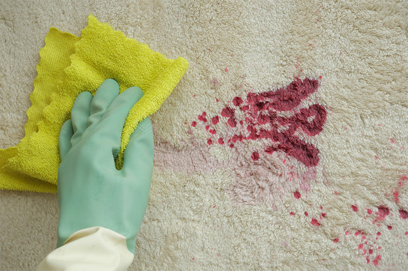 remove cat and dog stains from carpet