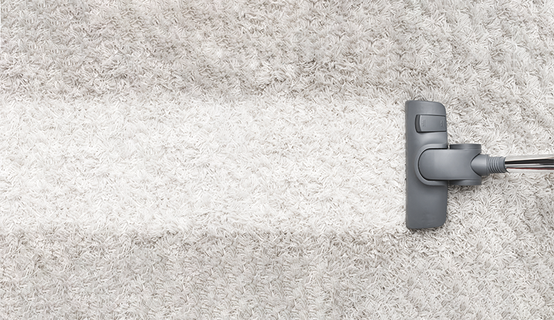 Carpet cleaner during end of tenancy cleaning service